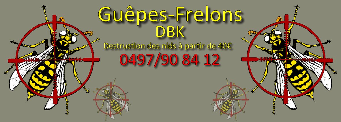 Guêpes-Frelons DBK Destruction