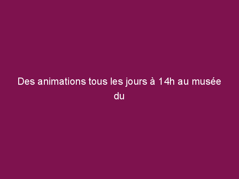 Des animations tous les jours à 14h au musée du Malgré Tout de Treignes