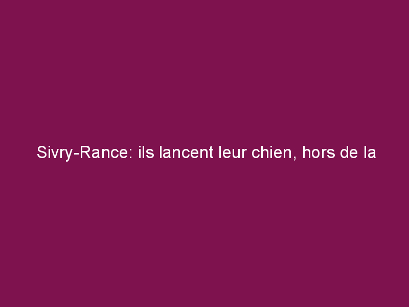Sivry-Rance: ils lancent leur chien, hors de la voiture
