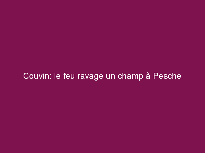 Couvin: le feu ravage un champ à Pesche