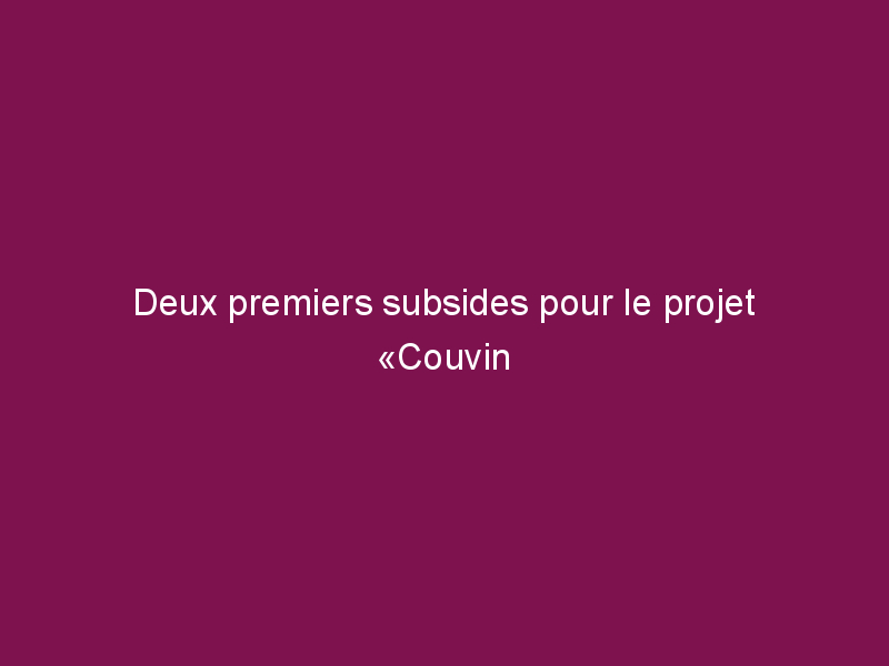Deux premiers subsides pour le projet «Couvin Demain»